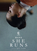 新手入门指南：如何畅玩幻影王朝